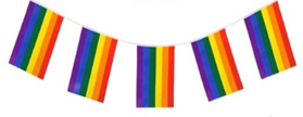 10M WITH 20 FLAG POLYESTER RAINBOW PRIDE BUNTING