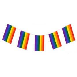 10M WITH 20 FLAG POLYESTER RAINBOW PRIDE BUNTING