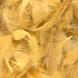 Eleganza Feathers Mixed sizes 3"-5" 50g bag Gold