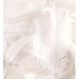 Eleganza Feathers Mixed sizes 3"-5" 50g bag White