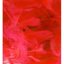 Eleganza Red Feathers Mixed sizes 3"-5"  bag