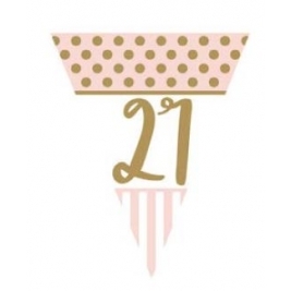 Pink Chic Age 21 Metallic Flag Bunting