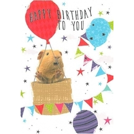 Open Male Birthday Card - Guinea Pig, Big Hot Air Balloons & Stars 7.75" x 5.25"