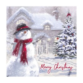 SNOWMAN/ROBIN TRAD 12PK CARD