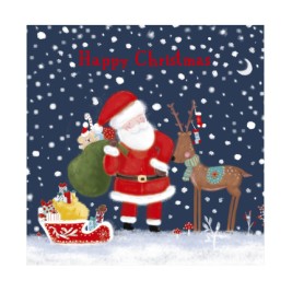 SANTA SCENE 20PK CARDS