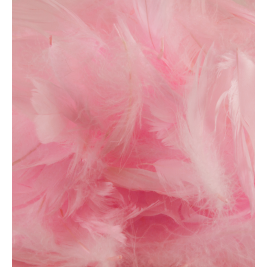 Eleganza Feathers Mixed sizes 3"-5" 50g bag Lt. Pink No.21