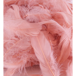 Eleganza Feathers Mixed sizes 3"-5" 50g bag Rose Gold No.87