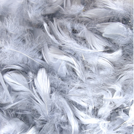 Eleganza Feathers Mixed sizes 3"-5" 50g bag Silver No.24
