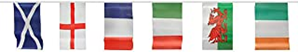 6 NATIONS BUNTING - 7M WITH 24 FLAGS