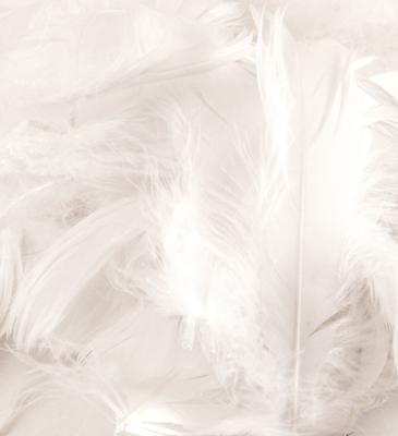 Eleganza Feathers Mixed sizes 3"-5" 50g bag White