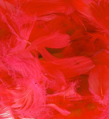 Eleganza Red Feathers Mixed sizes 3"-5"  bag