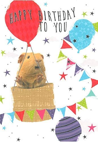 Open Male Birthday Card - Guinea Pig, Big Hot Air Balloons & Stars 7.75" x 5.25"