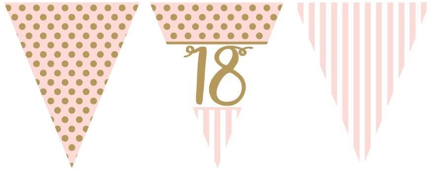 Pink Chic Age 18 Metallic Print Flag Bunting