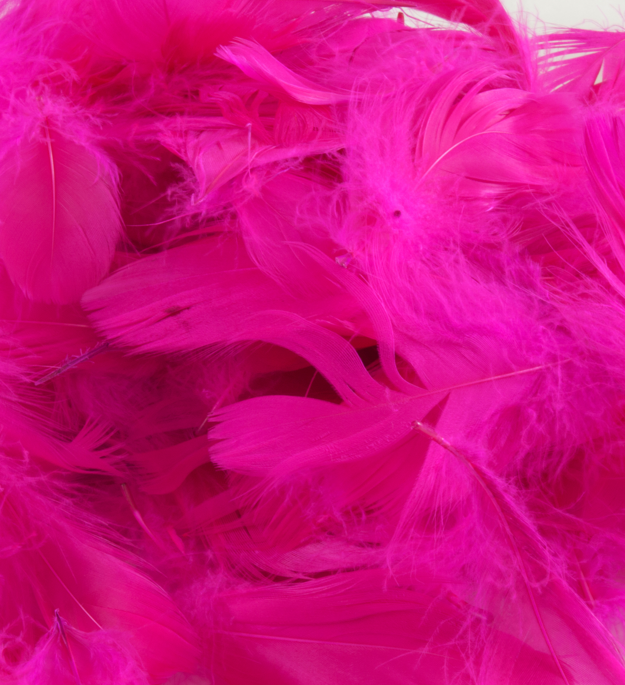 Eleganza Feathers Mixed sizes 3"-5" 50g bag Fuchsia No.28