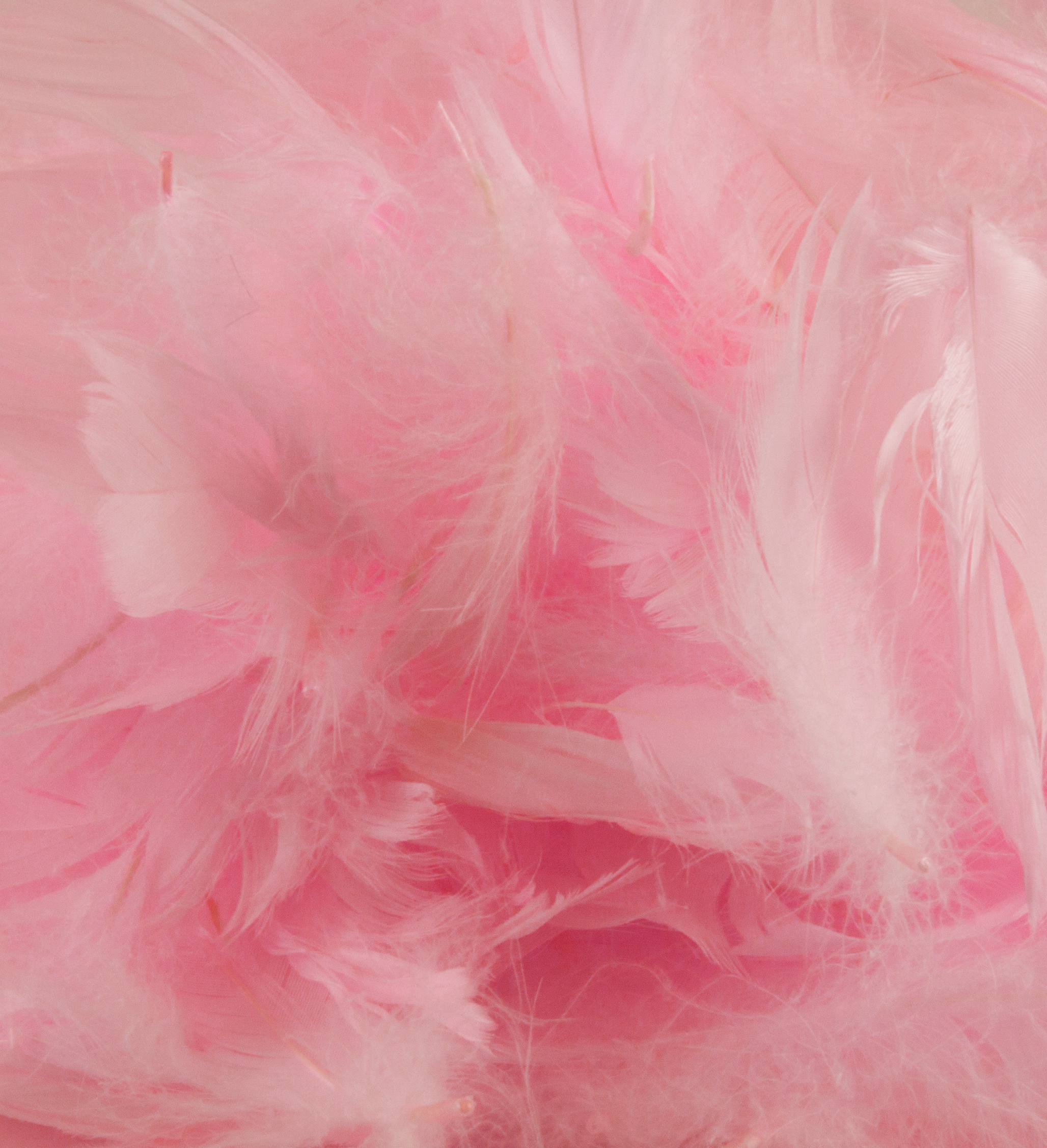 Eleganza Feathers Mixed sizes 3"-5" 50g bag Lt. Pink No.21