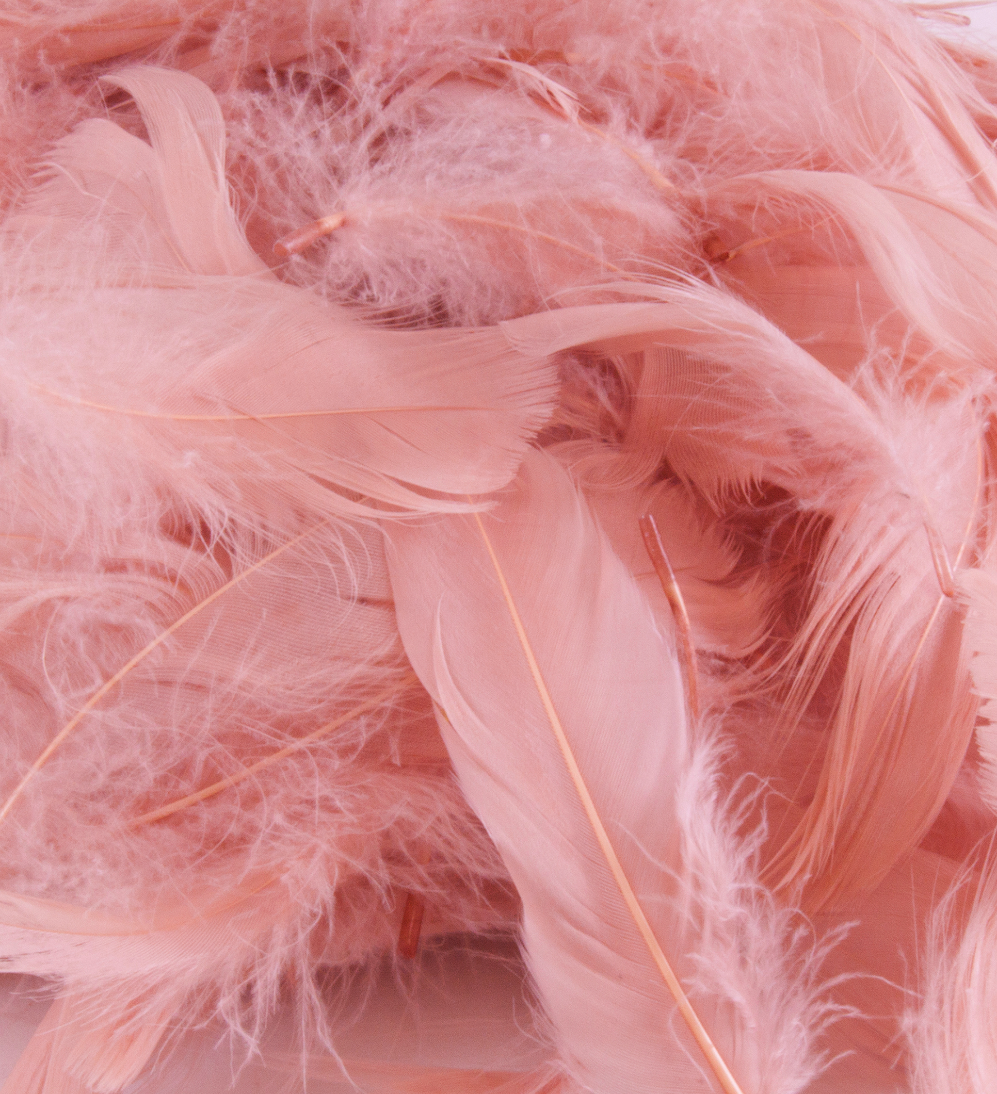 Eleganza Feathers Mixed sizes 3"-5" 50g bag Rose Gold No.87