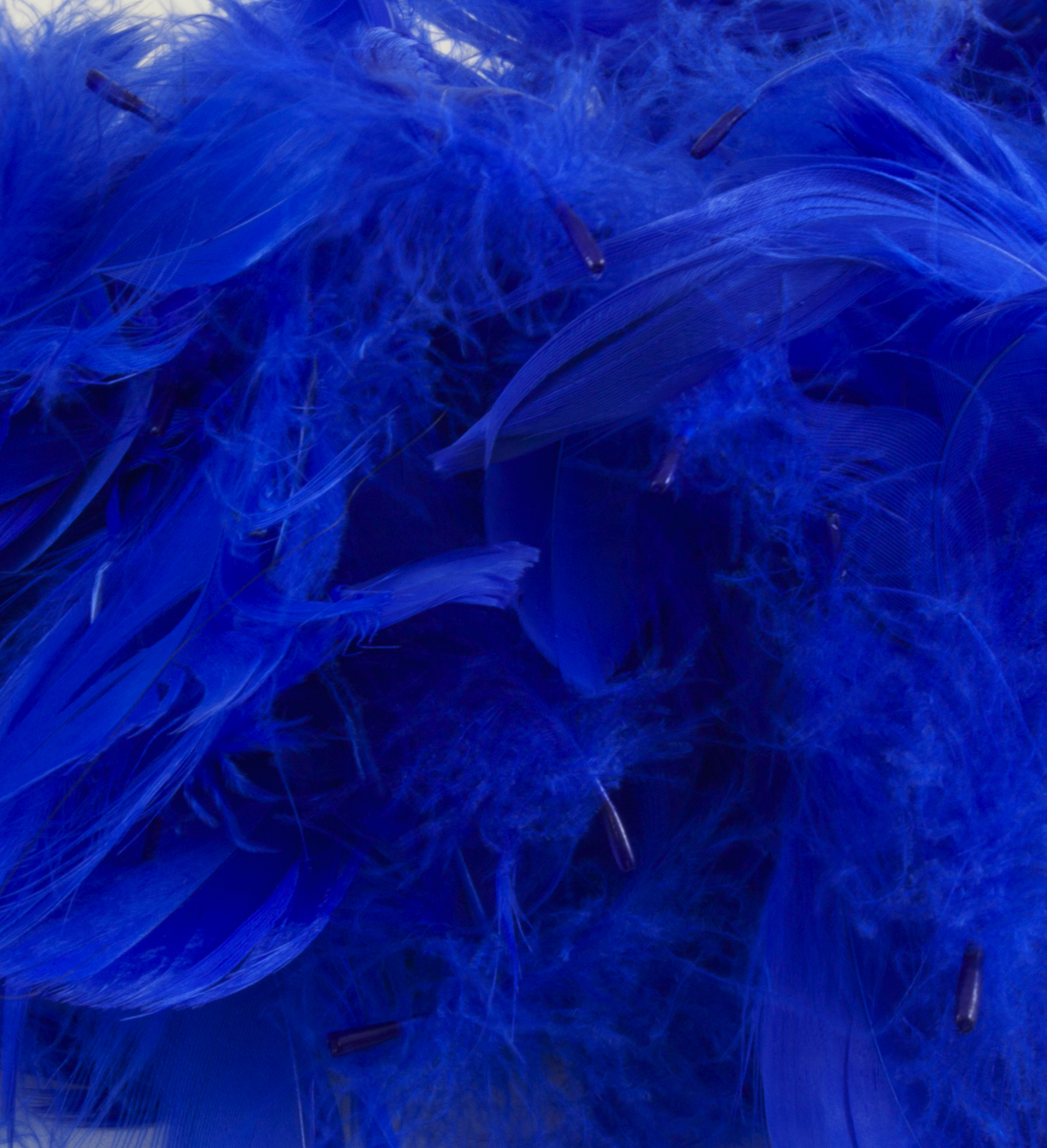 Eleganza Feathers Mixed sizes 3"-5" 50g bag Royal Blue No.18