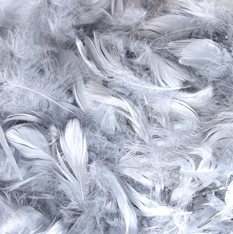 Eleganza Feathers Mixed sizes 3"-5" 50g bag Silver No.24